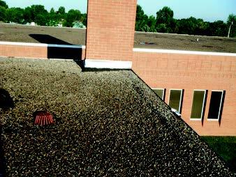 Louis L'Amour Elementary roof
